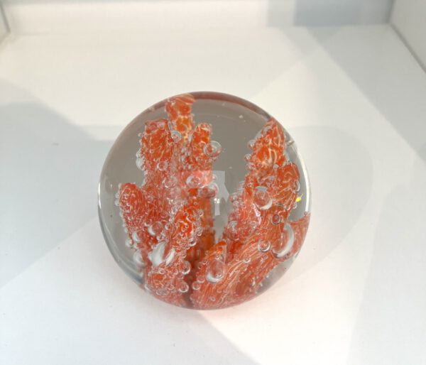 Glazen bol koraal - Afbeelding 2